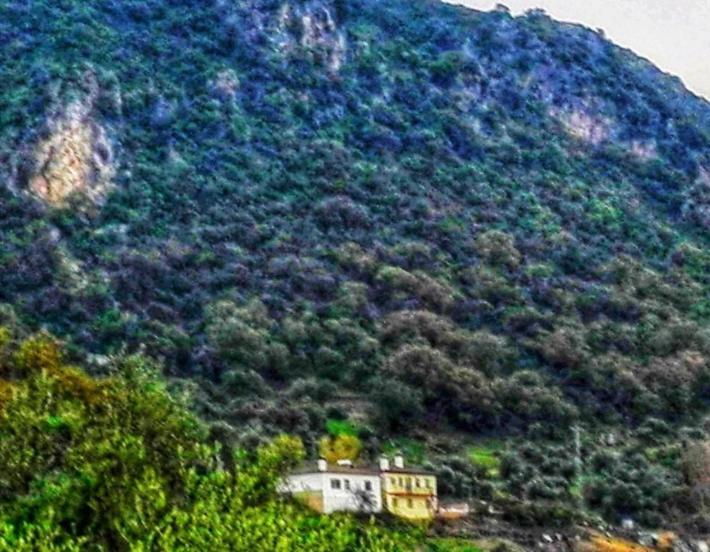 Alto De Torrecillas Ель-Боске Екстер'єр фото